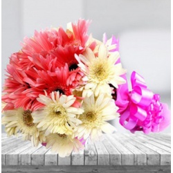 15 White and 10 Pink Gerabera Bunch