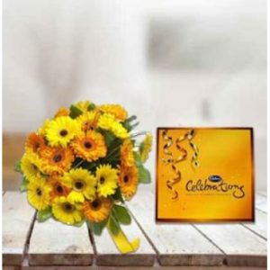 Gerbera with Cadbury Celebration Pack