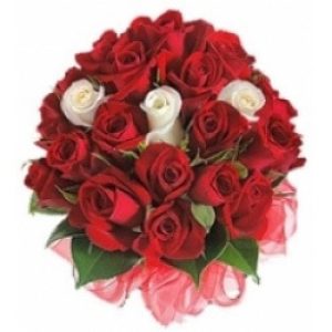 18 red roses and 3 white roses bunch