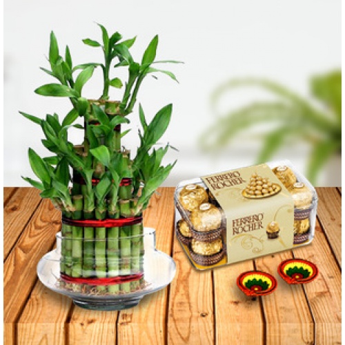 3 Layer Lucky Bamboo With 16 Pcs Ferrero Rocher Chocolate Box