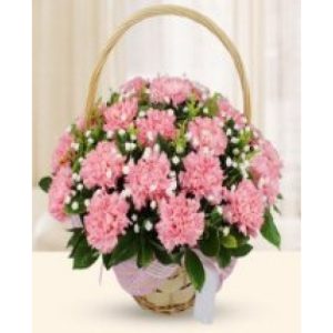 25 pink carnation in round basket