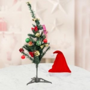 X Mas Tree and Santa Cap