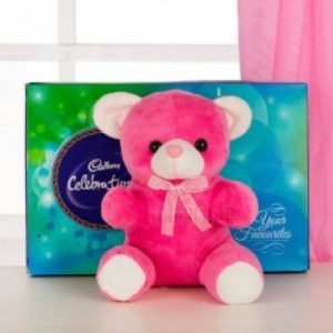 Teddy with Celebration Pack