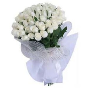 40 white roses in net packing