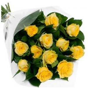 12 yellow roses bunch