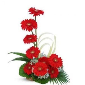 Gerbera Arrangement of 12 Flowers